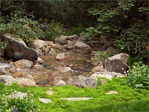 Water Feature